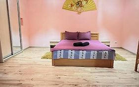 Apartment Kotliarska St.-Moisha House